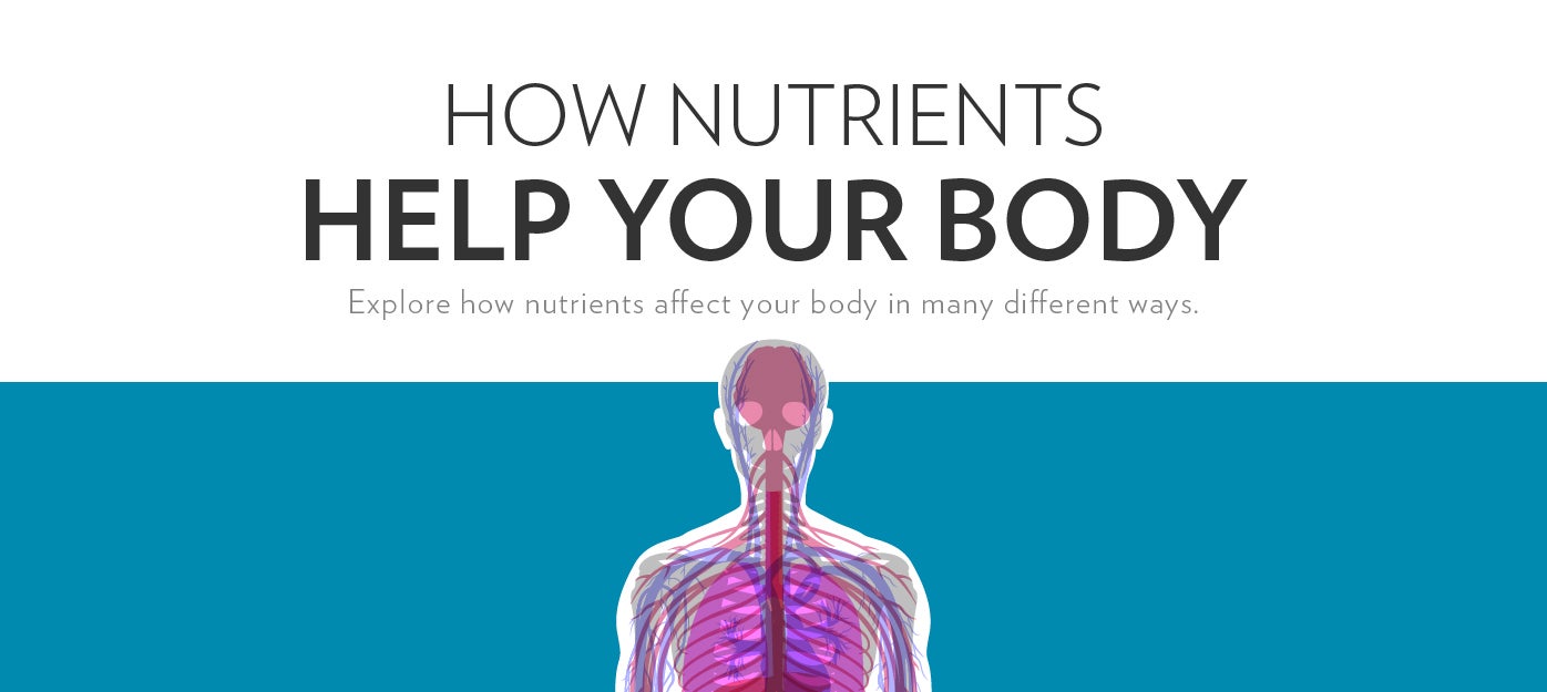 In this informative, interactive guide, you can browse through essential nutrients, view corresponding educational facts, and learn which foods can provide a good source of each